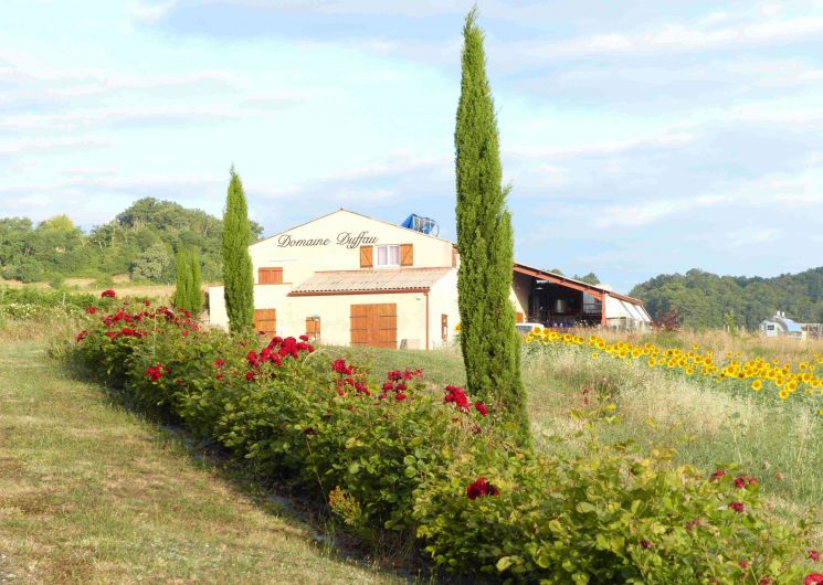 En Coulisse , Visite du domaine Duffau_Gaillac
