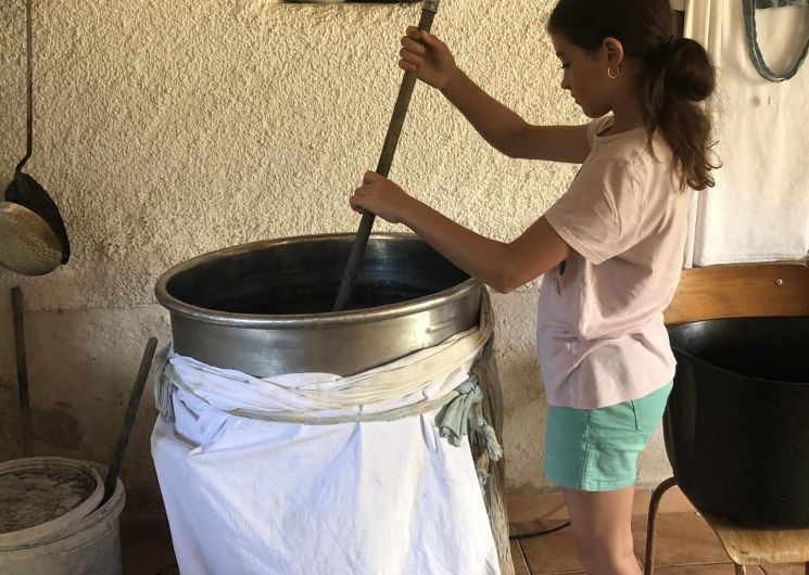 En coulisse , visitez le monde du Pastel en Pays de Cocagne_Cambounet-sur-le-Sor