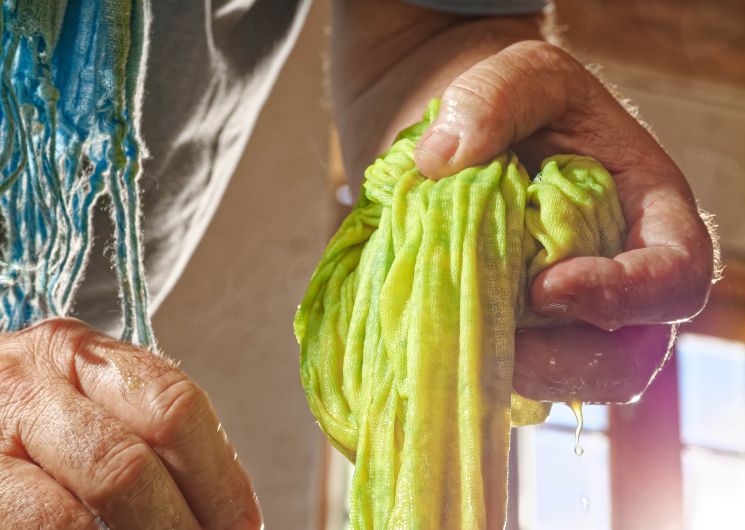 En coulisse , visitez le monde du Pastel en Pays de Cocagne_Cambounet-sur-le-Sor