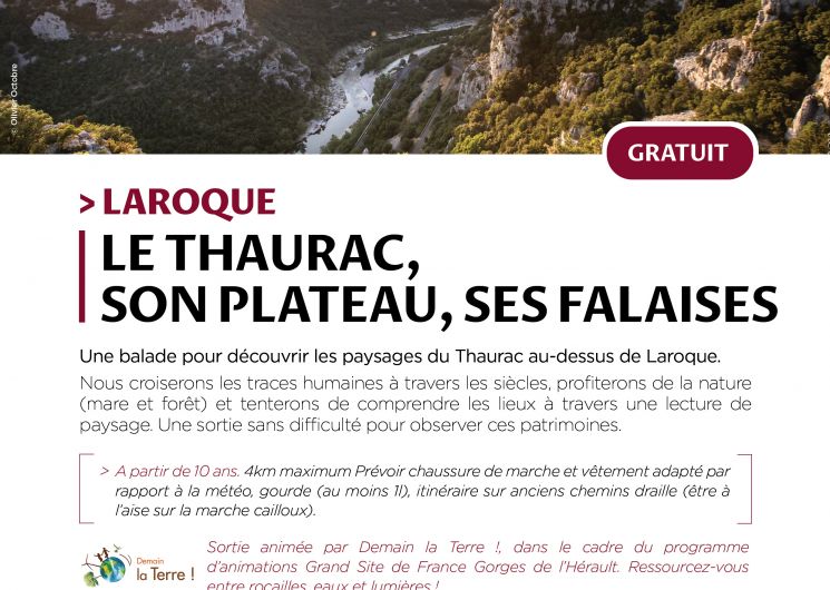 Balade guidée Le Thaurac, son plateau, ses falaises_Laroque