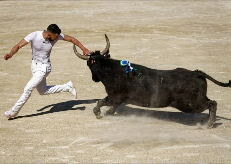 Course camarguaise – École de raseteurs_Palavas-les-Flots