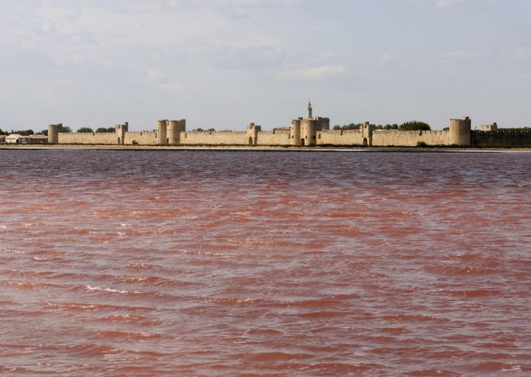 Les tours et remparts d'Aigues-Mortes