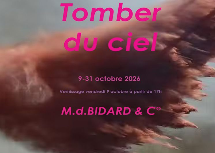 Tomber du ciel 