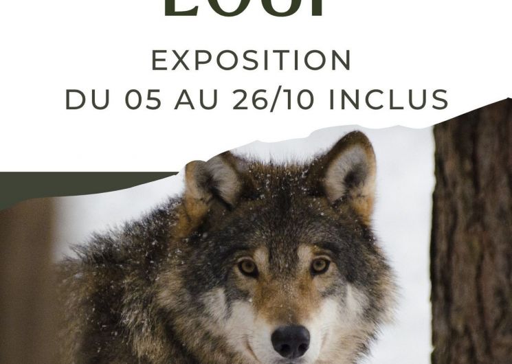 Exposition - Sur la Piste du Loup_Meynes