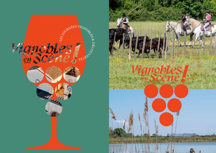 Entre vin des Costières et traditions camarguaises_Saint-Gilles