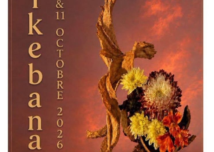 Exposition Ikebana_Castillon-du-Gard
