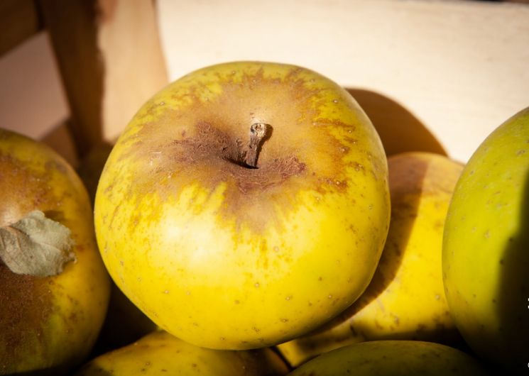 Les avant-goûts de la foire - Atelier cuisine_Aulas