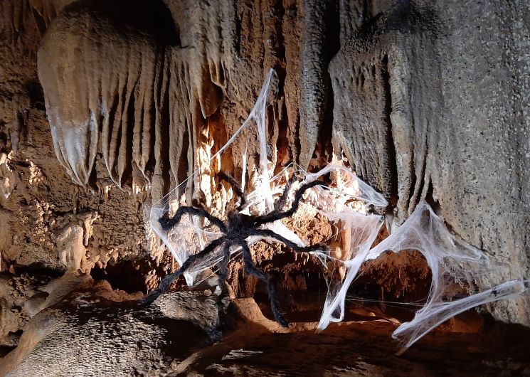 Halloween s'installe à Trabuc_Mialet