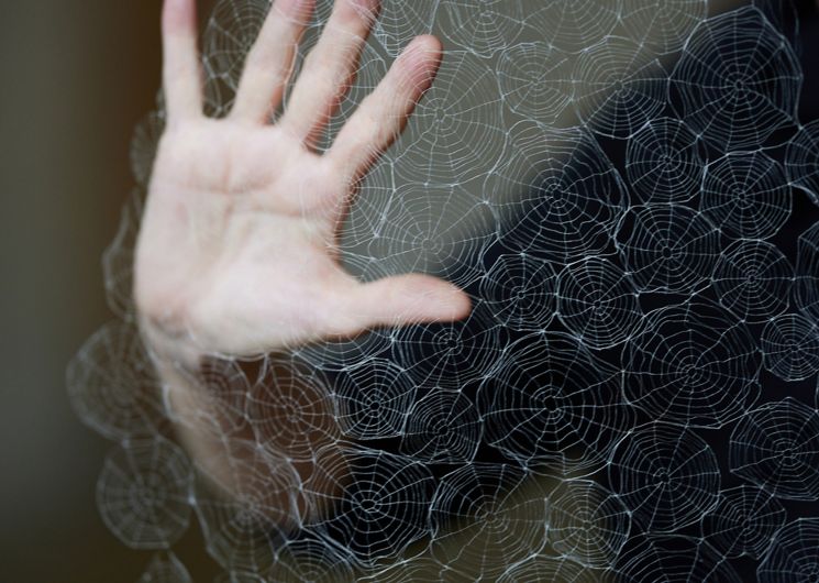 Exposition temporaire : 