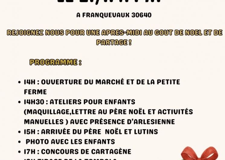 Marché de Noël à Franquevaux_Beauvoisin