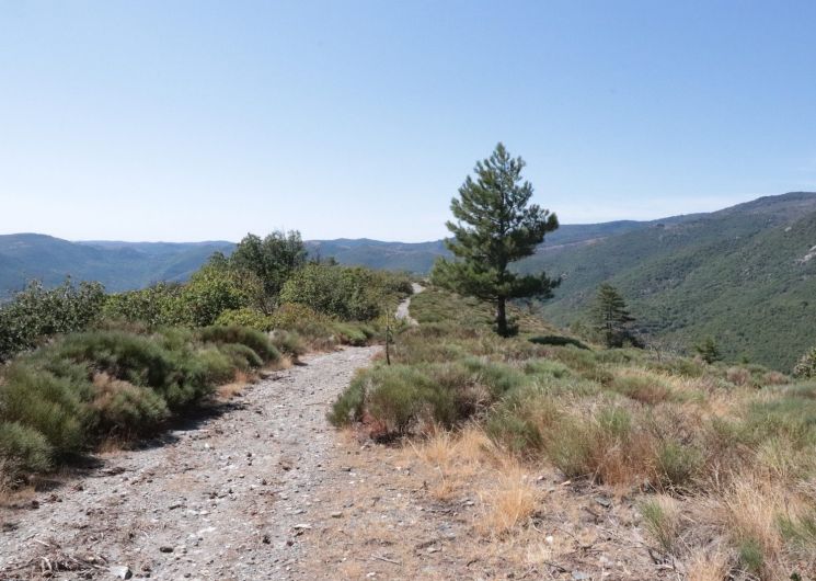 Les paysages du Trail du Rocher du Comte