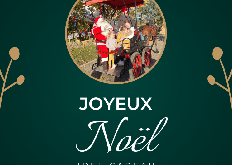 Les attellages du Sud Ouest fêtent Noël !_Saint-Genest-de-Contest