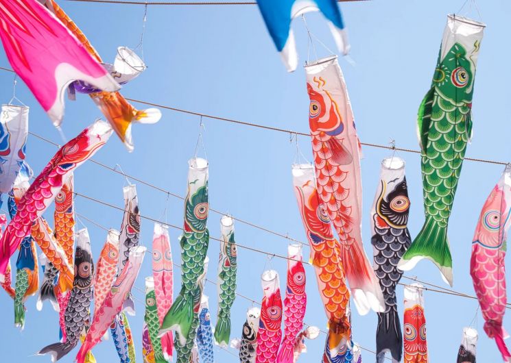 Exposition de koinobori