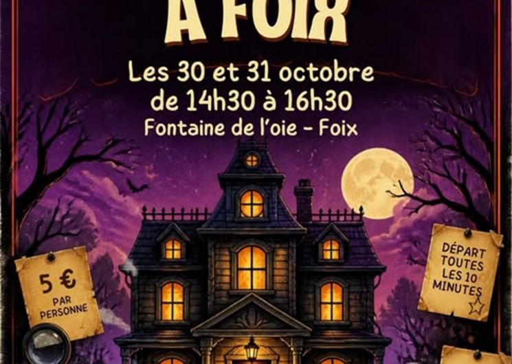 Enquête à Foix_Foix