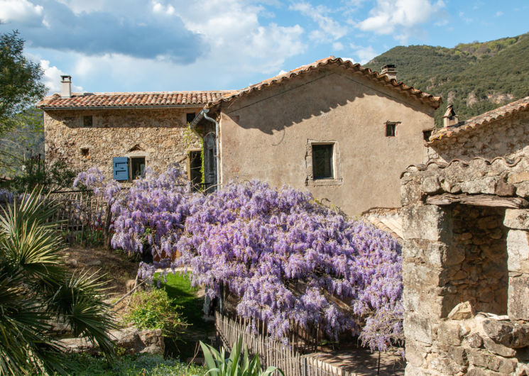 gîte le cambon mialet