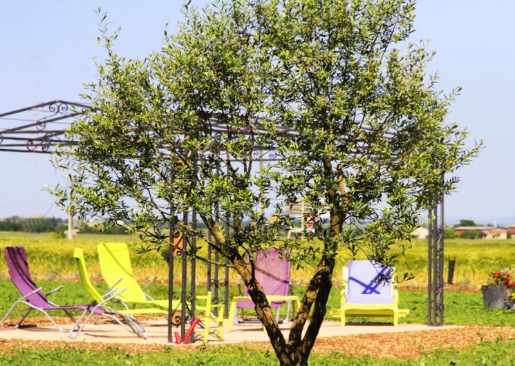 Pech del Cel 1