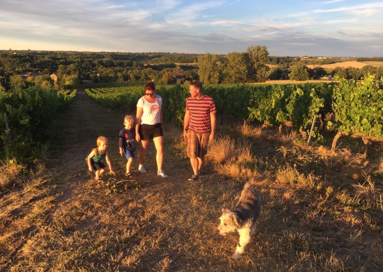 dans les vignes autour PuechBlanc