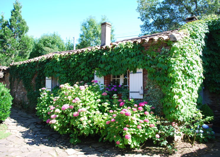 Maison Puech Malou 'Cottage