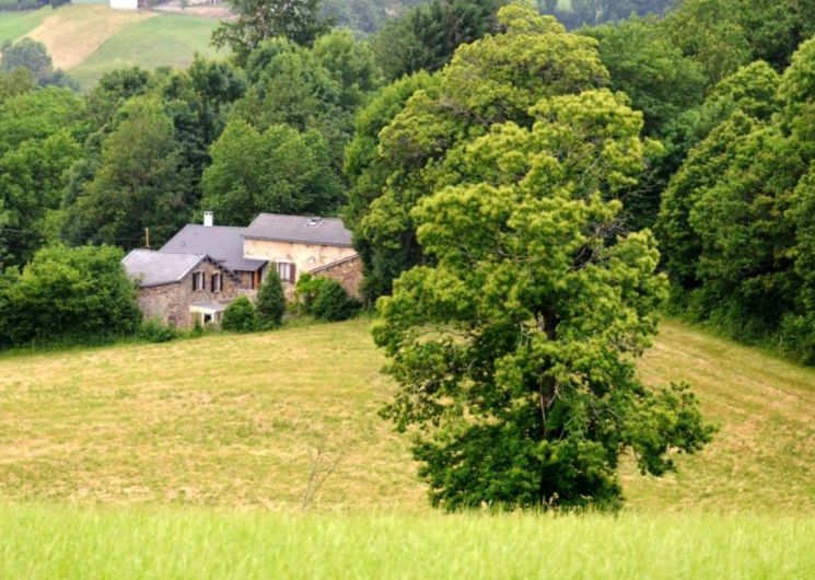 Gîte Violette