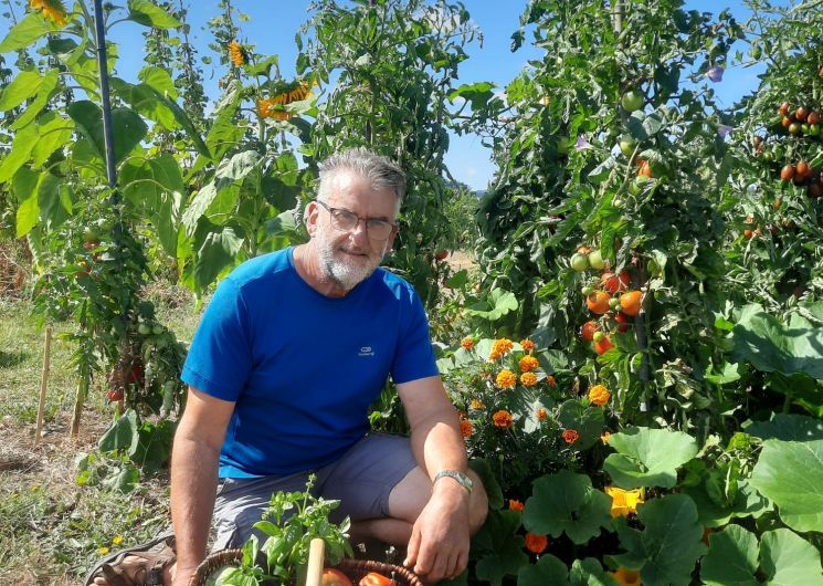 Récolte potager