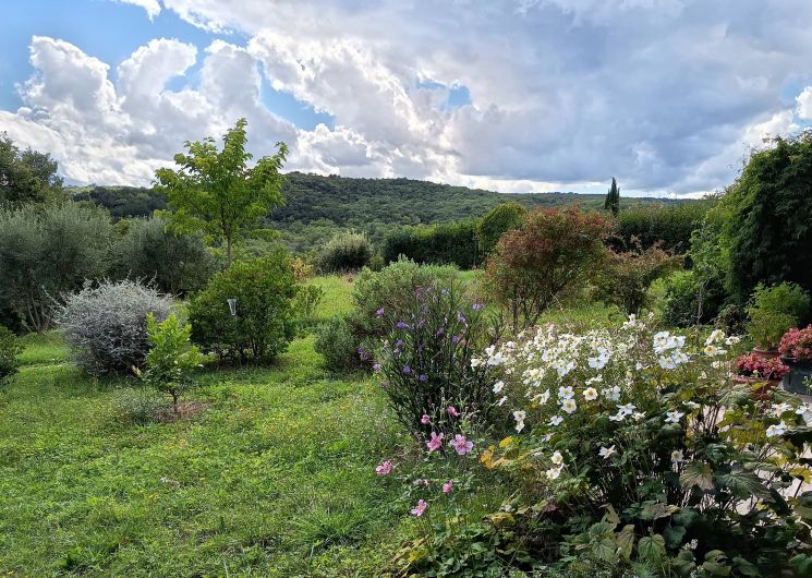 Gîte Le Clou de Girolle