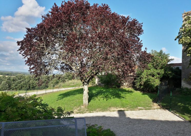 Chez Marguerite