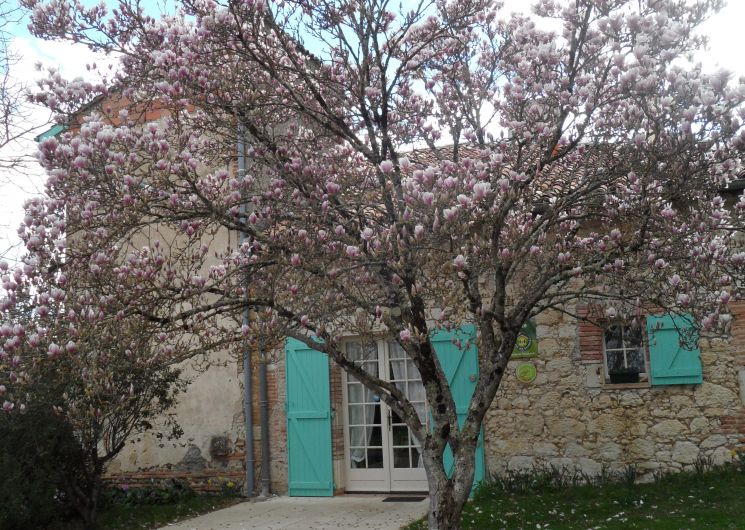 Gîte de Cayrac_Auvillar