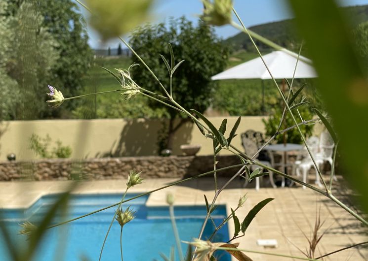 Appartementen Mas Buissas : La Source