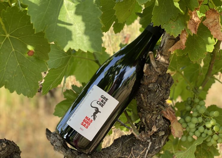 Appartementen Mas Buissas : La Source