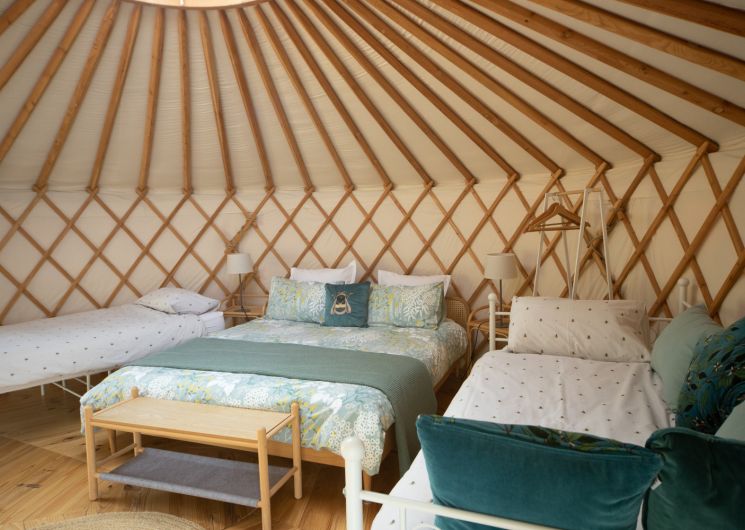 Les Yourtes de Provence : Darwin