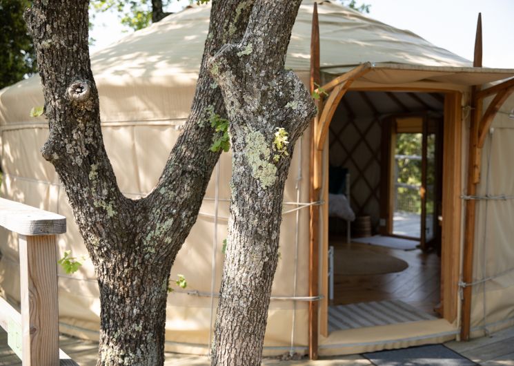 Les Yourtes de Provence : Darwin