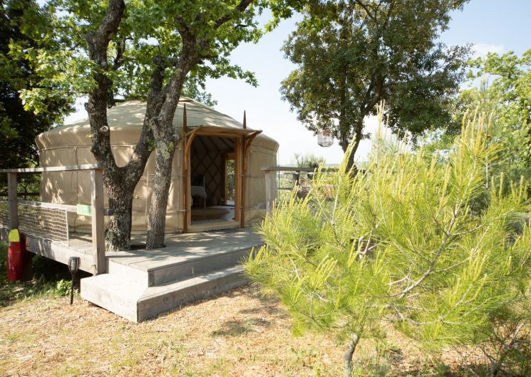 Les Yourtes de Provence : Darwin