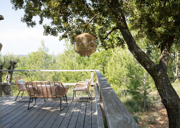 Les Yourtes de Provence : Darwin