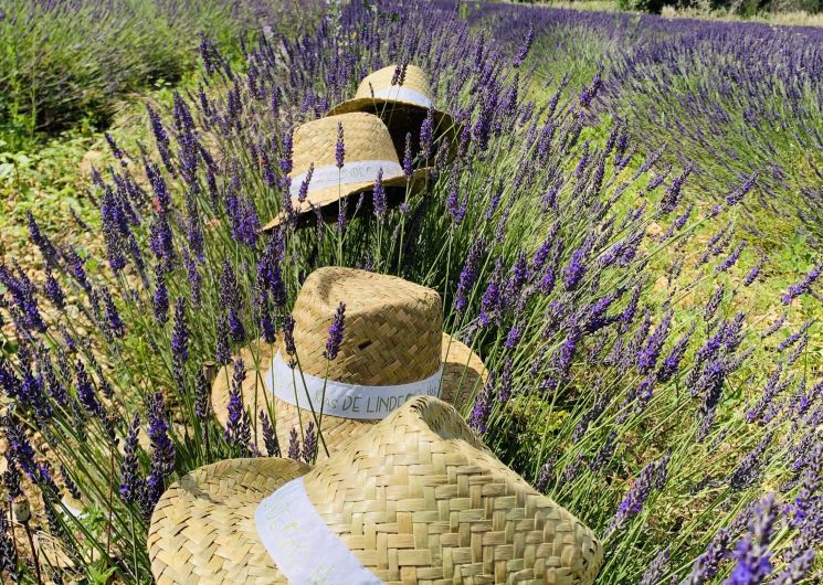 Gîtes Le Mas de Linde : Le Crouzet