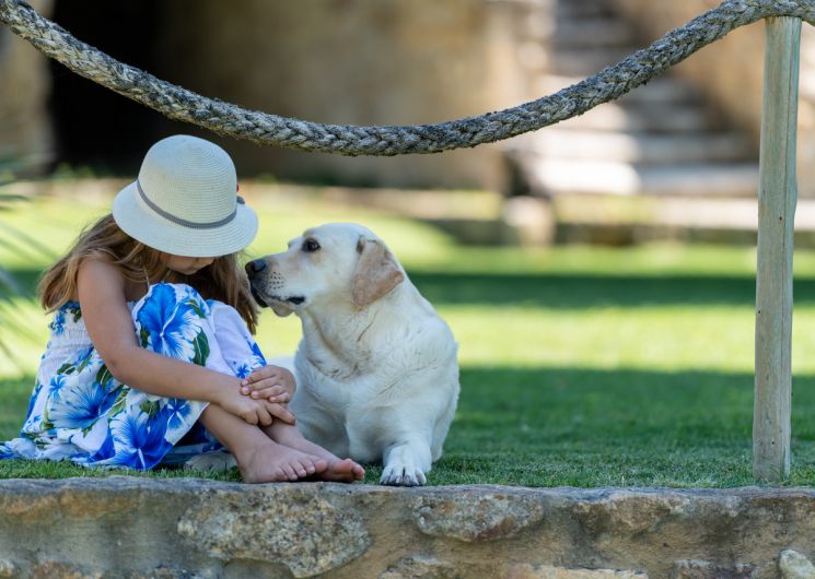 Gîtes Domaine de Gressac - Mas de Court