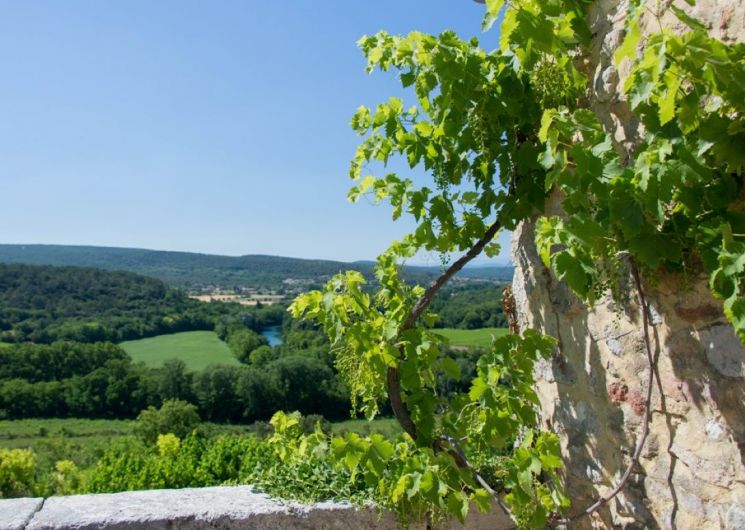 Gîtes Domaine de Gressac : Pélisse