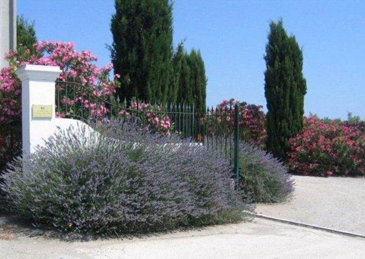 Gîte Bouteillan_Saint-Laurent-d'Aigouze