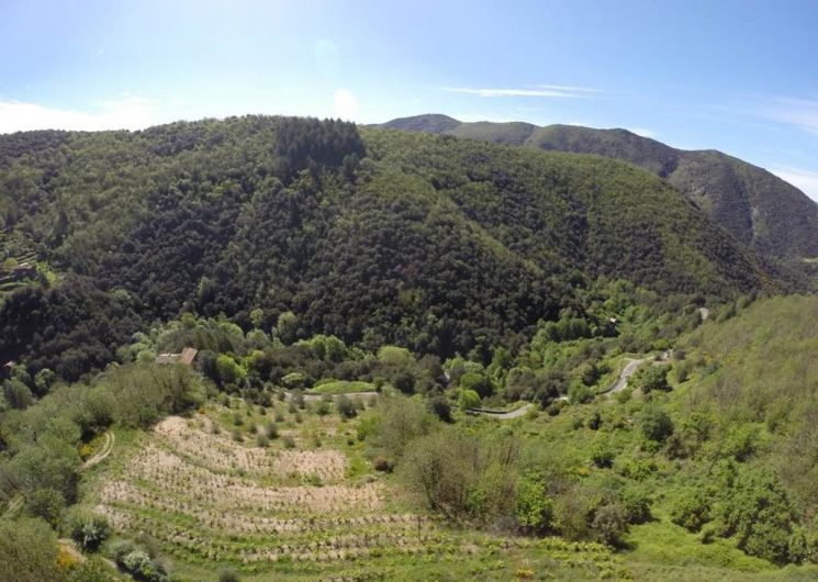 Gîte n°30G12913 – SAINT MARTIAL – location Gard