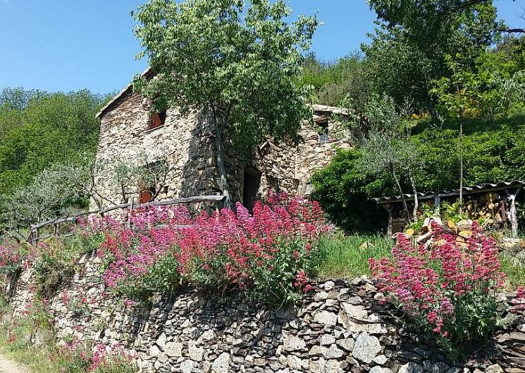 Gîte n°30G12913 – SAINT MARTIAL – location Gard