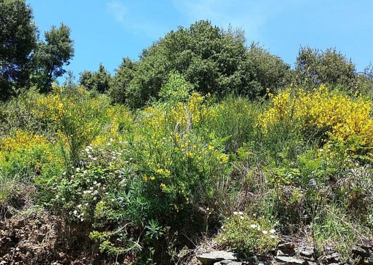 Gîte n°30G12913 – SAINT MARTIAL – location Gard