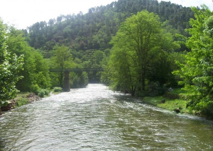 Gîte n°30G11929 – LE CHAMBON – location Gard