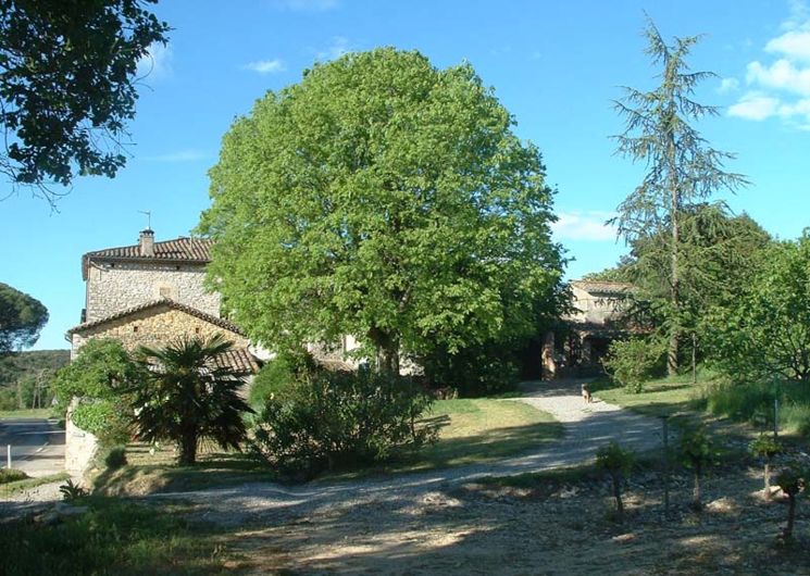 Les Citronniers-Tornac