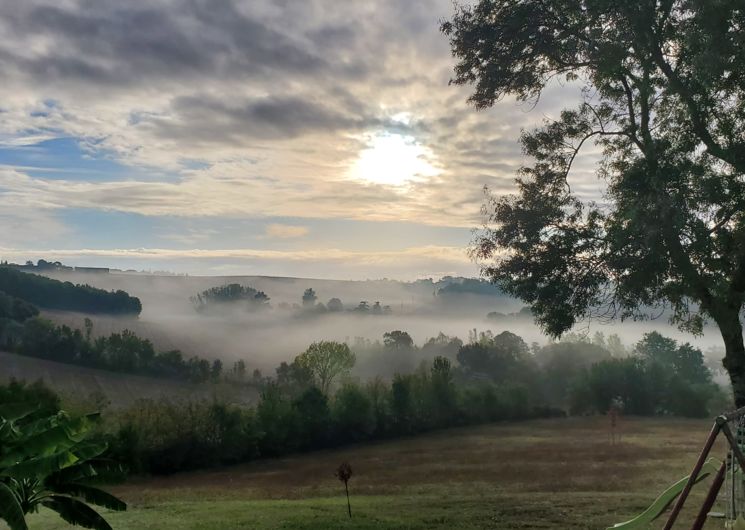 l'automne a castanet