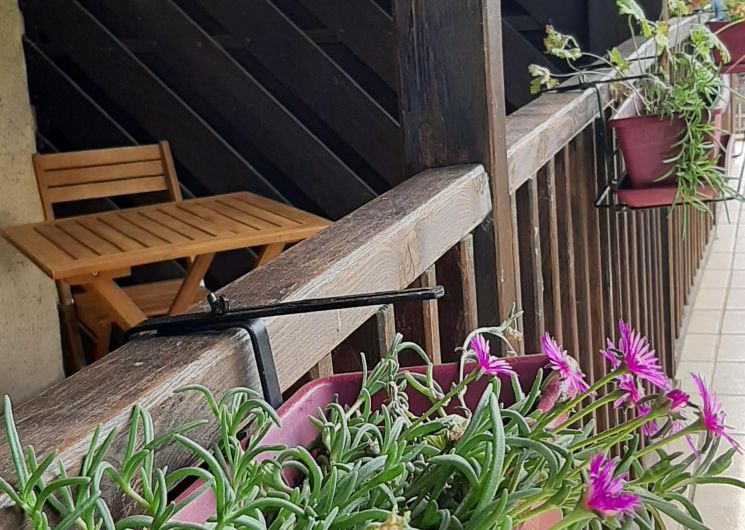 domaine de plaisance