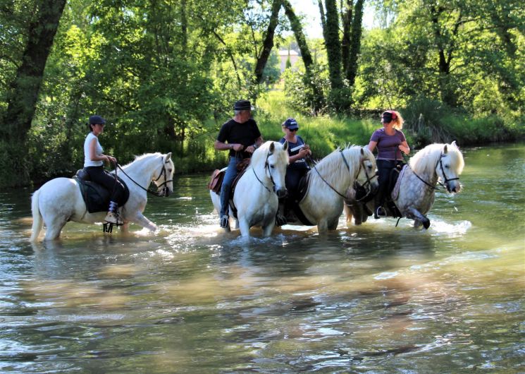Le Mas Bas_Orthoux-Sérignac-Quilhan