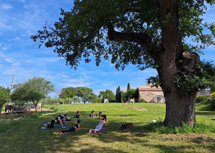 Le Mas Bas_Orthoux-Sérignac-Quilhan