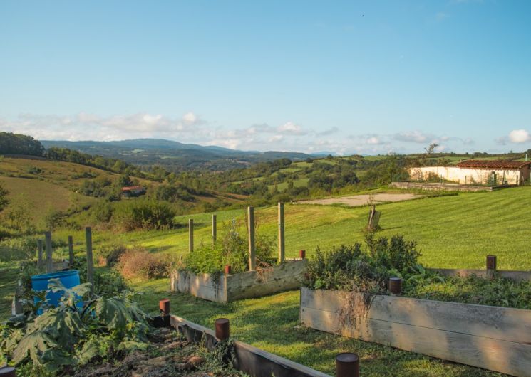 Domaine de Manzac_Castex