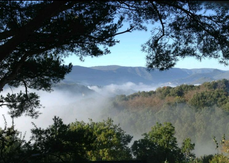 Vue sur la terrasse de la maison
