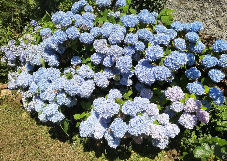 Gîte du domaine du Valier