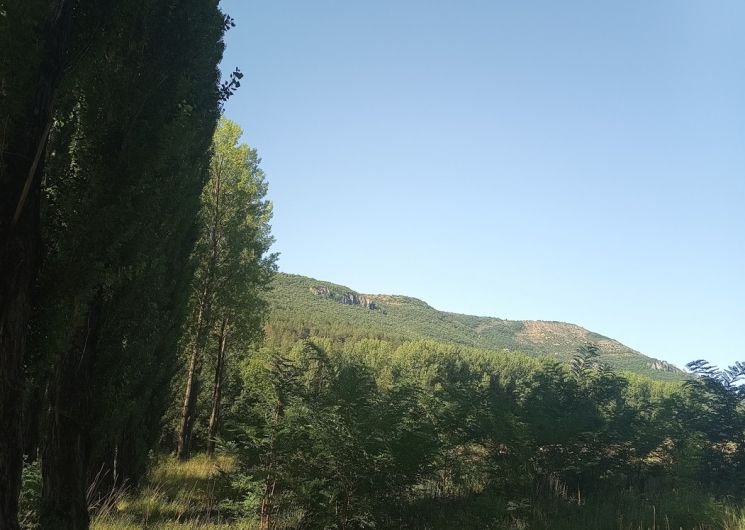La Pompette_Molières-Cavaillac